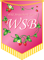 WSB Banner